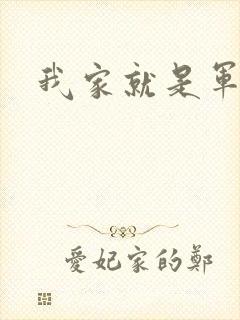 我家就是军火铺