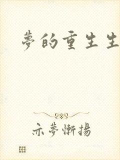 梦的重生生活