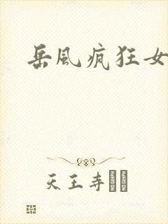 岳风疯狂女婿