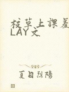 校草上课羞耻PLAY文