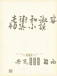 老卫和淑容1-40集小说