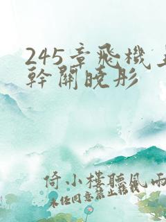 245章飞机上干关晓彤