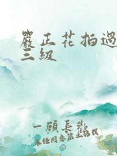 严正花拍过什么三级