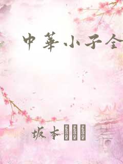 中华小子全集
