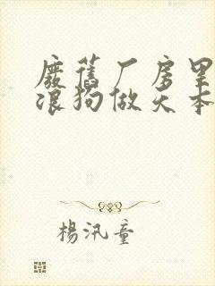 废旧厂房里和流浪狗做天本