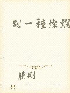 别一种灿烂生活