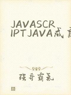 JAVASCRIPTJAVA成熟亲子