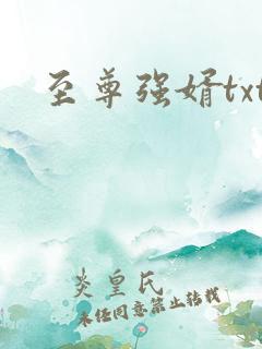 至尊强婿txt