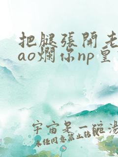 把腿张开老子cao烂你np皇宫