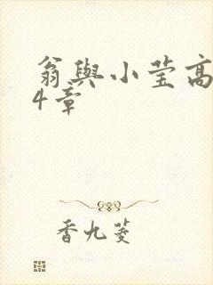 翁与小莹高潮24章