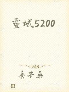 灵域5200