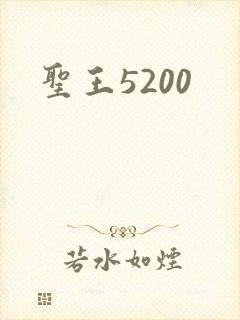 圣王5200
