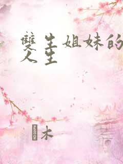 双生姐妹的错位人生