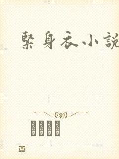 紧身衣小说