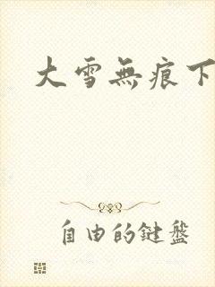大雪无痕下载