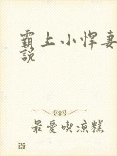 霸上小悍妻 小说