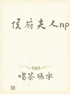 侯府夫人np