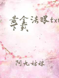 黄金法眼txt下载