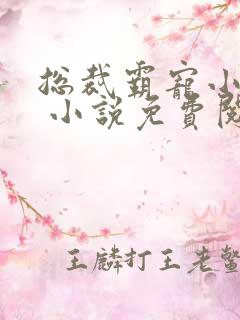 总裁霸宠小娇妻 小说免费阅读