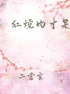 红烧肉才是真爱