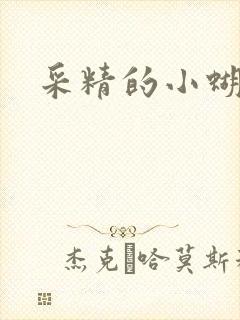 采精的小蝴蝶