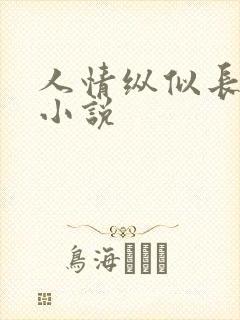 人情纵似长情月小说