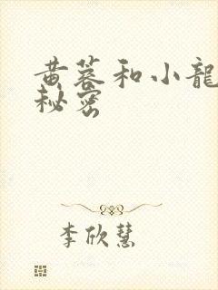 黄蓉和小龙女的秘密