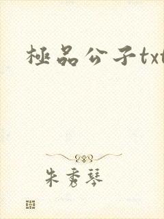 极品公子txt