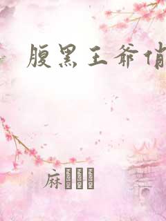 腹黑王爷俏医妃