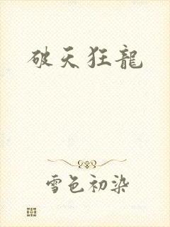 破天狂龙