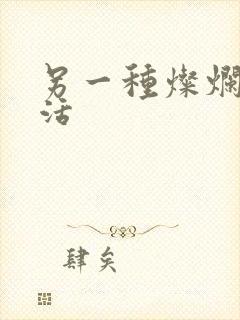 另一种灿烂的生活