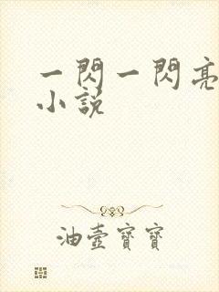 一闪一闪亮星星小说