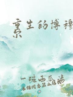 重生的博穆博果尔