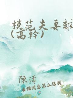 模范夫妻离婚了(高干)