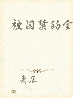 被囚禁的金丝雀