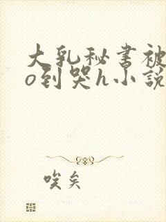 大乳秘书被cao到哭h小说