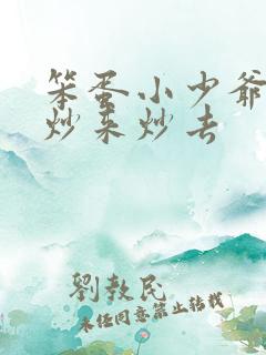 笨蛋小少爷又被炒来炒去