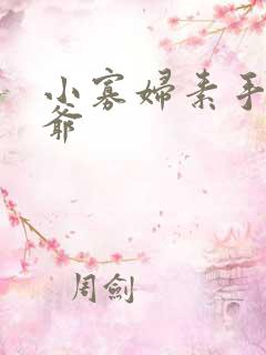 小寡妇素手擒四爷