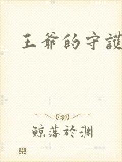 王爷的守护男妃