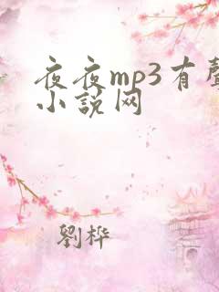 夜夜mp3有声小说网