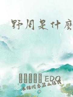 野周是什么意思