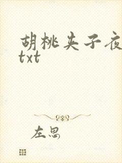 胡桃夹子夜未眠txt