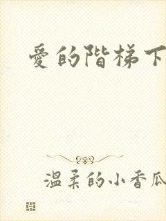 爱的阶梯下载