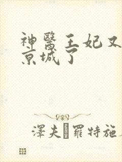 神医王妃又轰动京城了