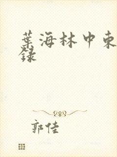 叶海林中东风云录
