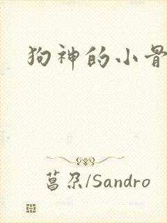 狗神的小骨头