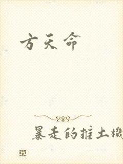 方天命