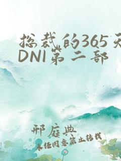总裁的365天DNI第二部