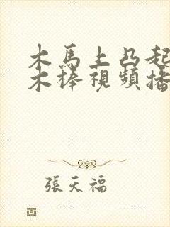 木马上凸起电动木棒视频播放