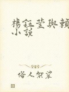 杨钰莹与赖昌星小说